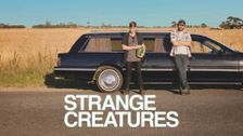 Strange Creatures