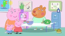 S5 E13: The Flying Vet