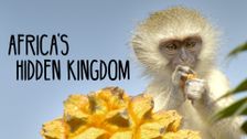 Africa's Hidden Kingdoms