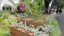 S40 E6: The Garden Gurus