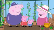 S5 E26: Grandpa Pig's Greenhouse