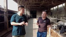 S1 E4: Taste of Tradition