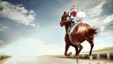Flashback - Classic Guineas