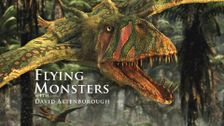Flying Monsters with David Attenborough