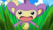 S9 E40: Duels of the Jungle!