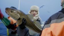 S1 E2: Treasures From the Barents Sea (Kjollefjord)