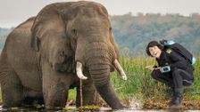 S1 E10: Andy and the African Elephants