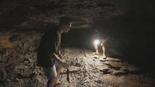 S3 E3: Bones on the Big Island