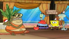 S14 E5: Momageddon; Pet the Rock