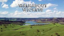 Walkabout Wickets
