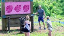 S3 E13: Australian Survivor