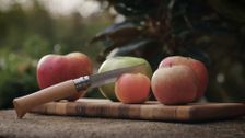 S1 E5: Apples in Virginia