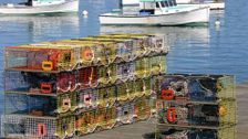 S15 E12: Lobster Fishing, Chesterfield Sofas and High-Definition Cameras