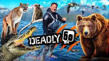 Deadly 60