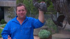 S25 E13: Better Homes and Gardens
