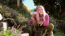 S37 E11: Gardening Australia