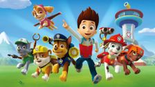 Pups Save a Playful Dragon; Pups Save the Critters; Mission Paw: Quest for the Crown