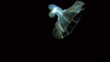 S1 E9: What Lies Beneath