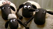 S1 E12: Little Sheep of Horrors