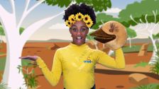 S1 E21: The Wiggles: Wiggle And Learn