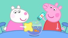 S5 E21: The Pet Competition