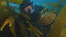 S1 E2: Phantom Wreck