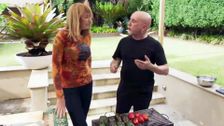 S1 E8: Stuffed, Rolled and Wrapped