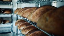 S1 E1: Sourdough in San Francisco