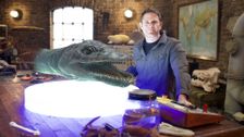 S1 E6: Aquatic Terrors