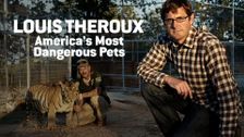 Louis Theroux: America's Most Dangerous Pets