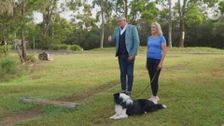 S2 E7: Dogs Behaving (Very) Badly Australia