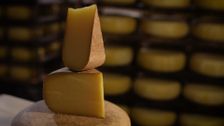 S1 E12: Cheese & Beer in Wisconsin