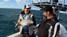 S5 E9: Nomad Sport Fishing in the Coral Sea
