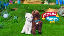 Mittens & Pants