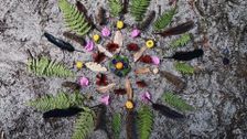 S1 E5: Mandala Challenge