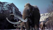 S1 E1: Rise of the Megabeasts