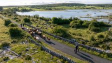S1 E1: Killarney & Burren