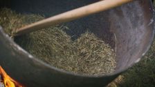 S1 E1: Wild Rice in Minnesota