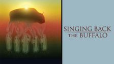 Singing Back the Buffalo