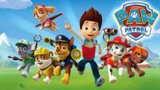 PAW Patrol