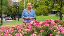 S24 E5: Better Homes and Gardens