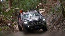 S2 E1: Island Adventure