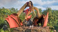 S1 E2: Andy and the Quetzalcoatlus Egg