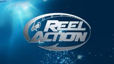 Reel Action