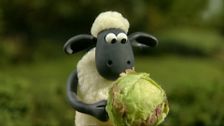 S1 E1: Off the Baa!