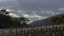 S1 E5: Wine Lovers' Guide to Australia