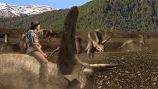 S1 E6: Triceratops and Horn