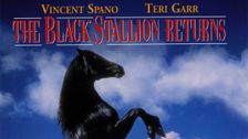 The Black Stallion Returns