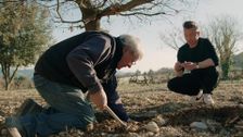 S1 E1: Truffle