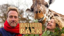 Animal Park